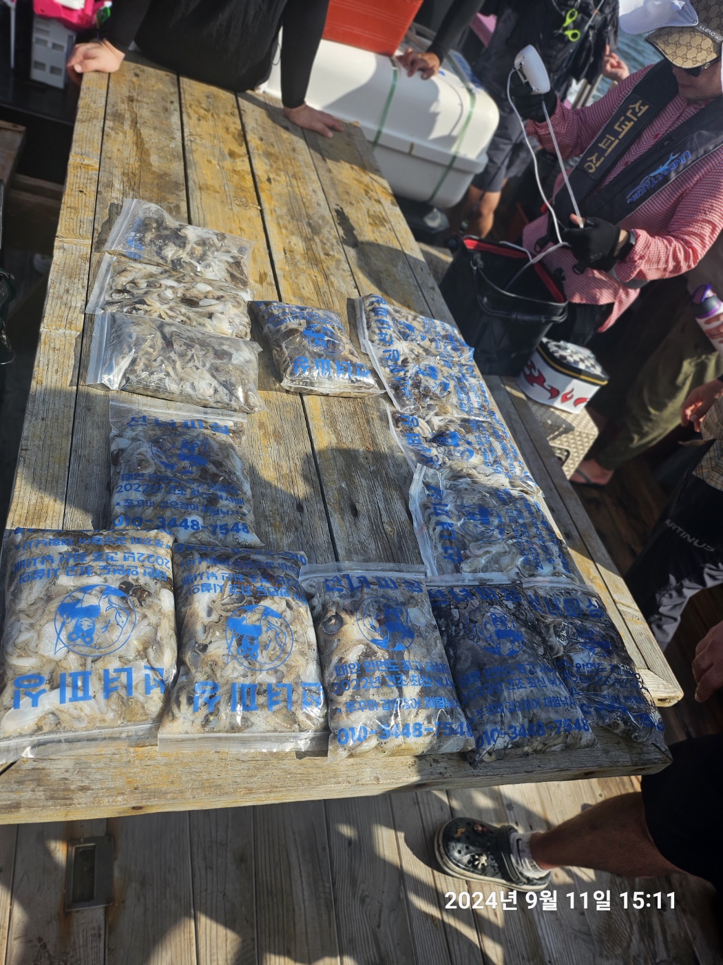 태안 안면도 쭈꾸미낚시배 200수 오바 시작되는  황금물때